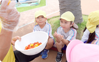 星の子みのり保育園