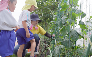 星の子みのり保育園